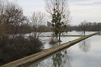 Inondation Canal Wingersheim 01-2018